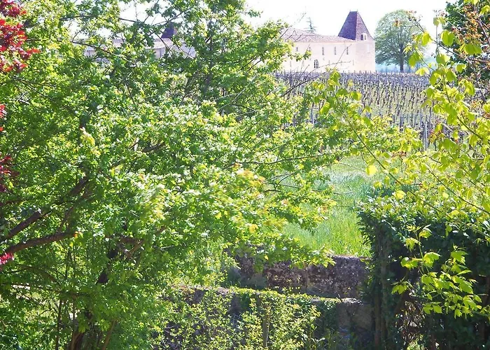 La Petite Madeleine Гостевой дом Кастийон-ла-Батай